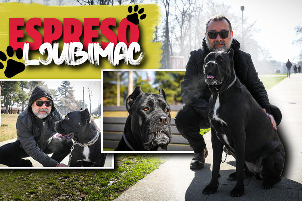 KANE KORSO ASJA U INTIMNOJ ISPOVESTI: Luda sam za kajmakom, plašim se balona i PRIZNAJEM DA PONEKAD JURIM I MAČKE!