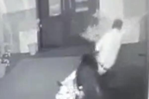 DIVLJA SVINJA NAPALA SVATOVE! Veoma opasna situacija na SVADBI! (VIDEO)