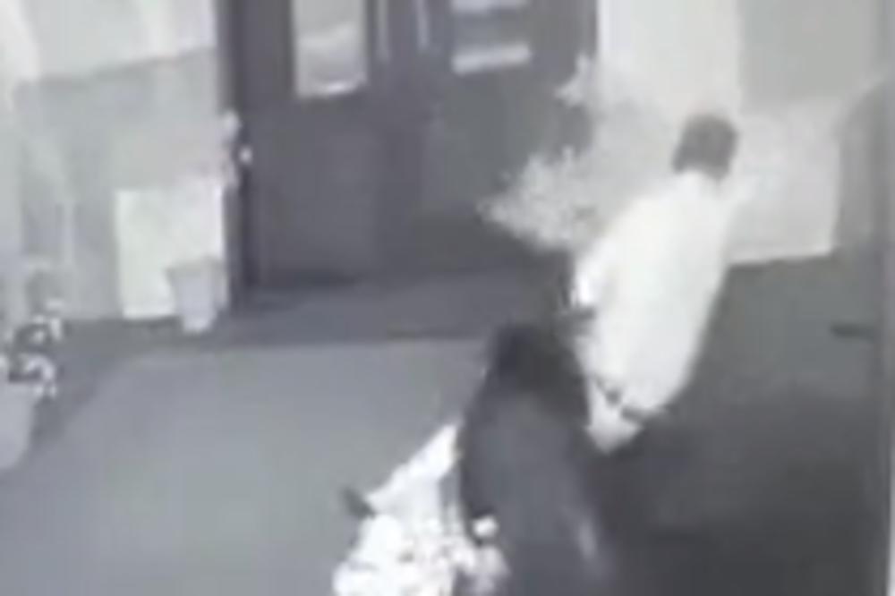 DIVLJA SVINJA NAPALA SVATOVE! Veoma opasna situacija na SVADBI! (VIDEO)