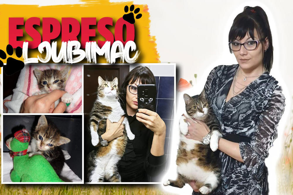 JA SAM MAČAK ĐOLE I PRAVI SAM HEROJ: Ivana me pronašla na ulici pre 4 godine i od tada se BORIMO PROTIV EPILEPSIJE!