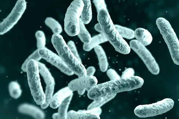 AKO NEKO OD VAŠIH UKUĆANA IMA KORONU OVO MORATE DA ZNATE: Kako brinuti i zaštititi se u isto vreme