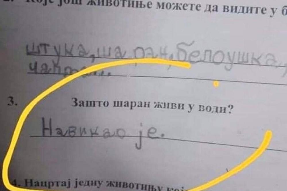 ZNATE LI ZAŠTO ŠARAN ŽIVI U VODI? JEDAN UČENIK IMA NAJORGINALNIJI ODGOVOR i nasmejao je celu SRBIJU!