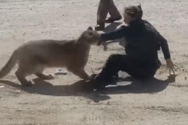 STRAVIČNA ZVER NAPALA ŽENU! OVAJ SNIMAK GLEDATE NA SVOJU ODGOVORNOST: Neverovatna borba! (VIDEO)