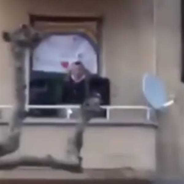 U TRSTU SE ORI TAMO DALEKO: Srbi u Italiji DIŽU MORAL horskim pevanjem čuvene pesme (VIDEO)