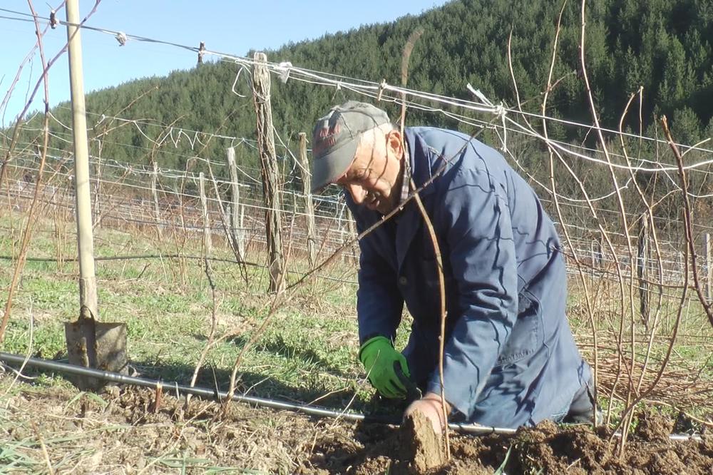 POGLEDAJTE KAKO SRPSKI SELJACI PROVODE DANE U IZOLACIJI: Njihov karantin je POD OTVORENIM NEBOM (FOTO)