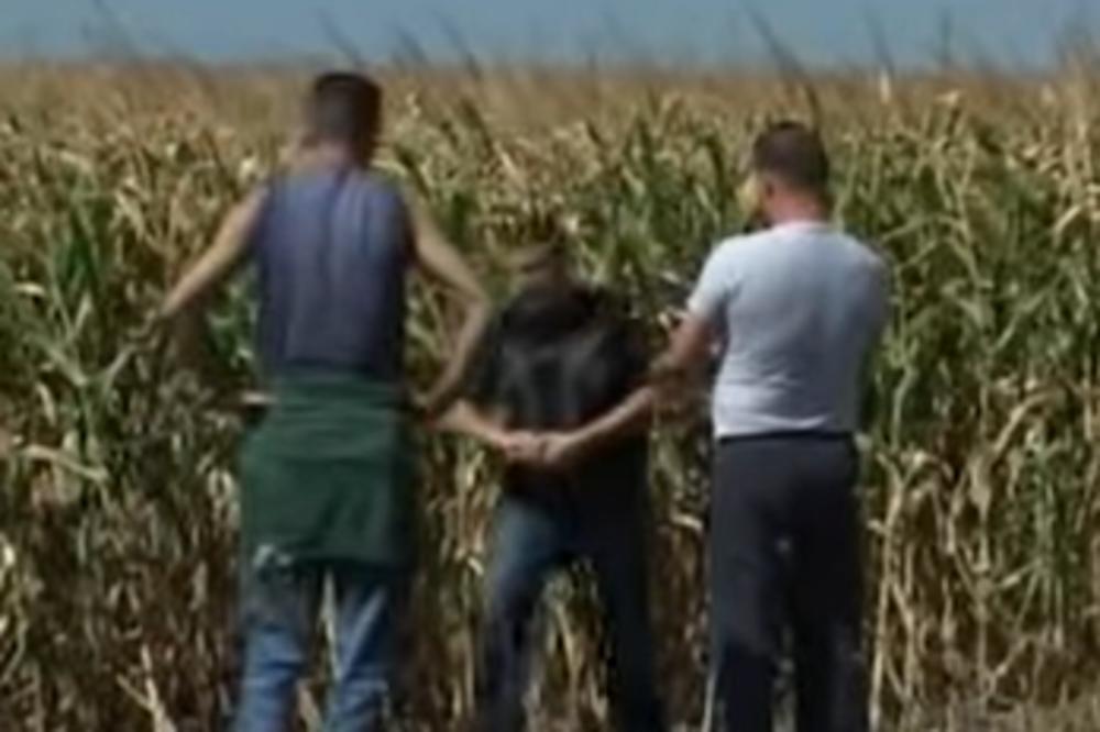 POLJOPRIVREDNICI, NE MOŽETE U NJIVU KAD HOĆETE! Ako hoćete da kopate TOKOM POLICIJSKOG ČASA, morate imati PAPIR