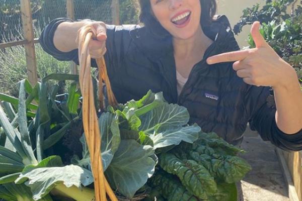 GLUMICA SE PORODILA, POVUKLA SE NAKON POROĐAJA U SAMOIZOLACIJI SA BEBOM: A sada u karantinu UZGAJA POVRĆE!