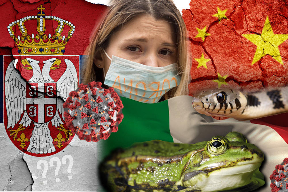 KINEZI DOBILI KORONU JER JEDU ZMIJE, ITALIJANI JER JEDU ŽABE, A SRBI JER JEDU... Status ovog čoveka pogađa u centar