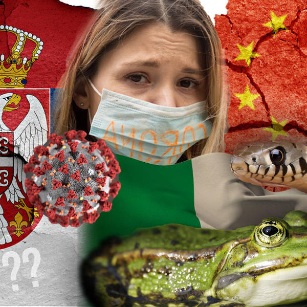 KINEZI DOBILI KORONU JER JEDU ZMIJE, ITALIJANI JER JEDU ŽABE, A SRBI JER JEDU... Status ovog čoveka pogađa u centar