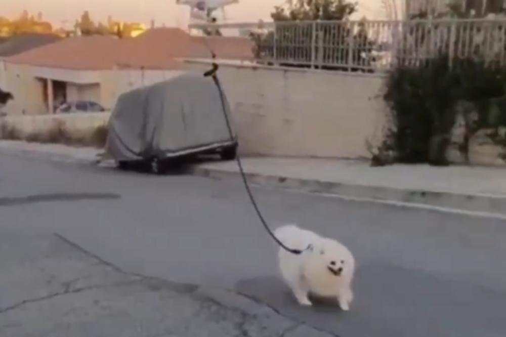 ŠETA PSA DRONOM ZBOG KORONE! Ajde da se kladimo da ne možete da pogodite ODAKLE JE OVAJ SNIMAK! (VIDEO)