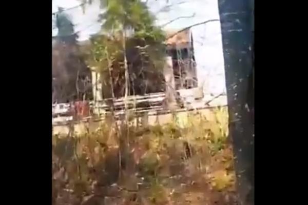 MILICA TODOROVIĆ JAVNO ISKRITIKOVALA LJUDE KOJI OVDE ŽIVE: Oni koji žive ovde, SRAM DA VAS BUDE!