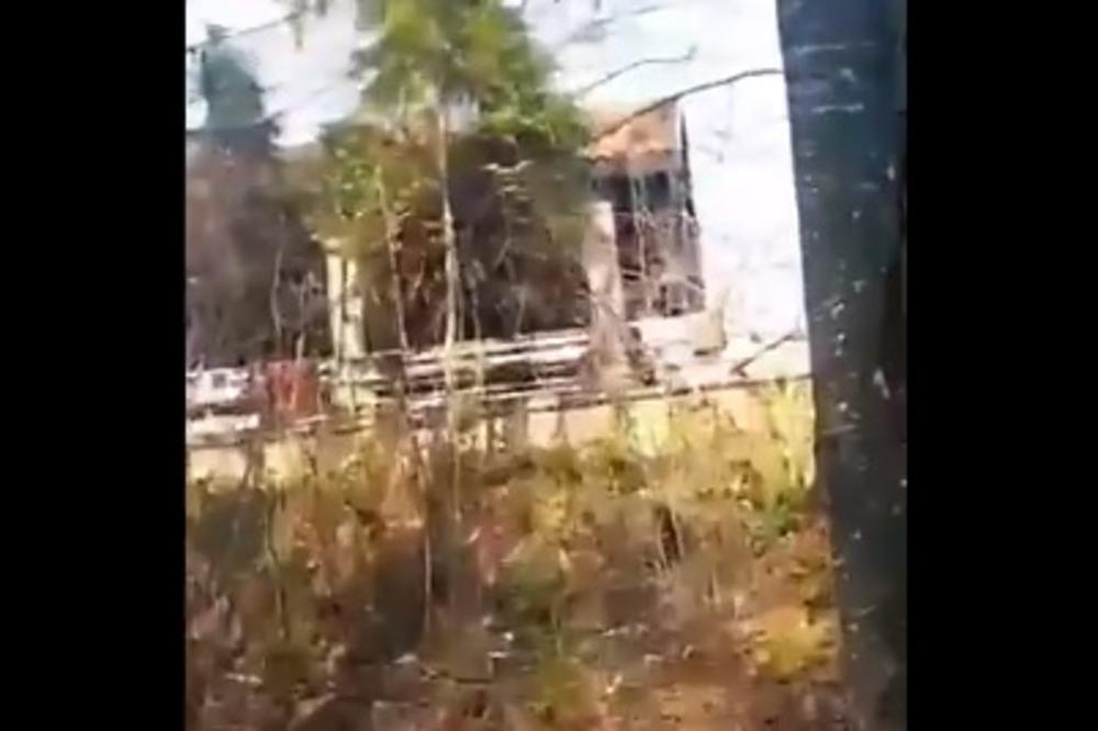 MILICA TODOROVIĆ JAVNO ISKRITIKOVALA LJUDE KOJI OVDE ŽIVE: Oni koji žive ovde, SRAM DA VAS BUDE!