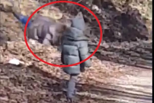 MAJKA NATAŠE BEKVALAC DOŽIVELA NEZGODU! Samo se srušila na GLAVU pred unukom, od ovoga podilazi JEZA