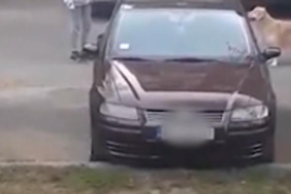 ŠTA BRE HOĆEŠ, JE L OVO TVOJA ULICA DA ME TERAŠ?Bahata Beograđanka prekršila policijski čas, usledilo je ovo (FOTO)