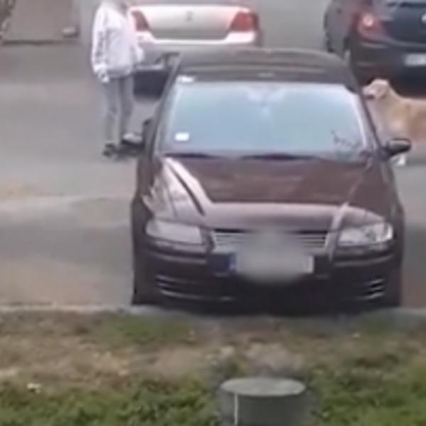 ŠTA BRE HOĆEŠ, JE L OVO TVOJA ULICA DA ME TERAŠ?Bahata Beograđanka prekršila policijski čas, usledilo je ovo (FOTO)