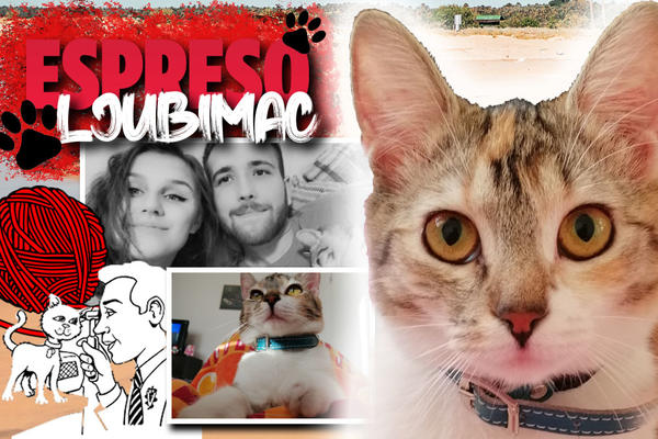 NISAM OSEĆALA NOGE, IZGUBILA SAM DOSTA KRVI: Mrvica je nakon bure pronašla ljude koji je ČUVAJU NAJLEPŠE NA SVETU!