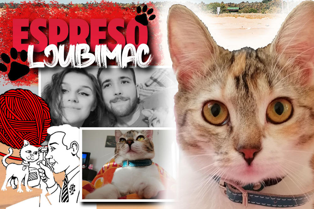 NISAM OSEĆALA NOGE, IZGUBILA SAM DOSTA KRVI: Mrvica je nakon bure pronašla ljude koji je ČUVAJU NAJLEPŠE NA SVETU!