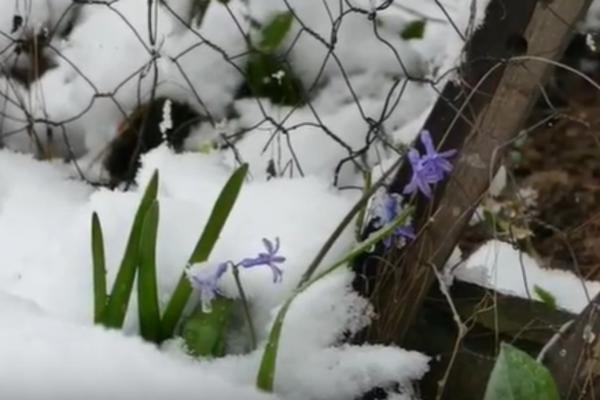 1. APRIL JE, ALI OVO NIJE ŠALA: U jednom gradu u Srbiji napadalo je 10 centimetara snega (FOTO)