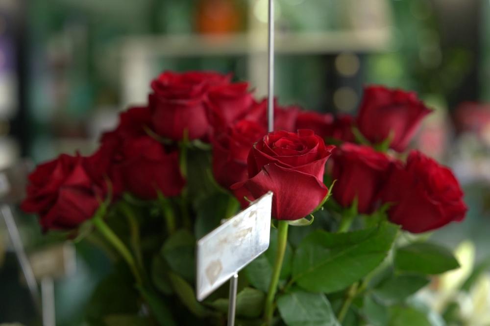 DEČAK (4) JE ZA SVOJU MAMU URADIO NEŠTO ŠTO ONA NIKAD, NIKAD NEĆE ZABORAVITI: Ova priča je potpuno NEVEROVATNA!