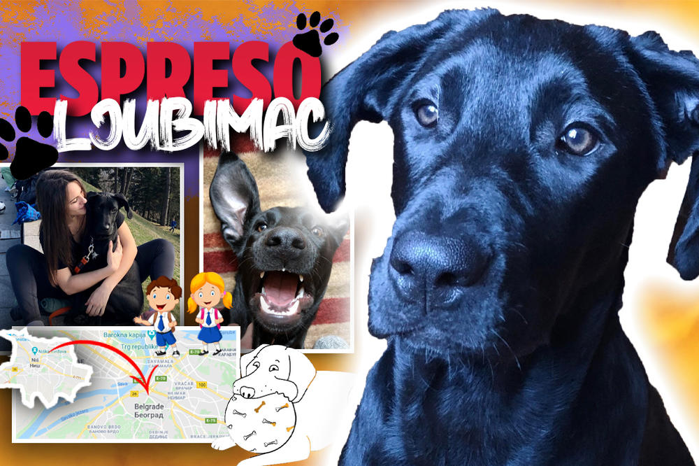 KAKO JE NIŠKI PRINC OSVOJIO PRESTONICU: Gruju posebno vole klinci, proverite koje je njegovo TAJNO ORUŽJE!