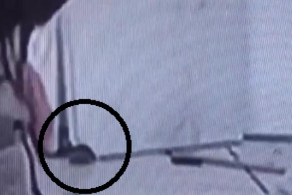 DOK SE ZADRUGARI SVAĐAJU, MIŠEVI TRČE PO KUĆI! I KORONA BI POBEGLA IZ NJIHOVE DNEVNE SOBE! Pogledajte video