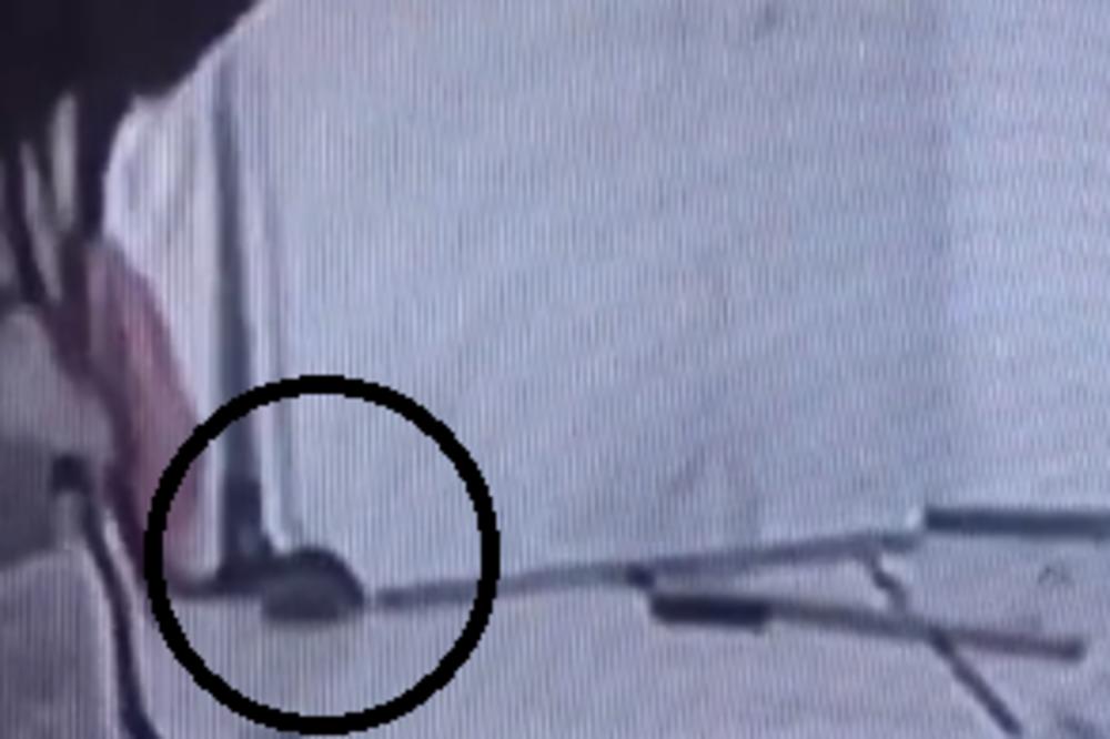 DOK SE ZADRUGARI SVAĐAJU, MIŠEVI TRČE PO KUĆI! I KORONA BI POBEGLA IZ NJIHOVE DNEVNE SOBE! Pogledajte video