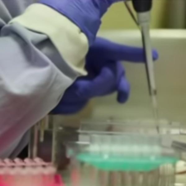 LEKARI KOJI TRAŽE LEK PROTIV KORONE DOŠLI SU DO NEVEROVATNOG OTKRIĆA: Jedna stvar je zajednička i u lečenju od raka