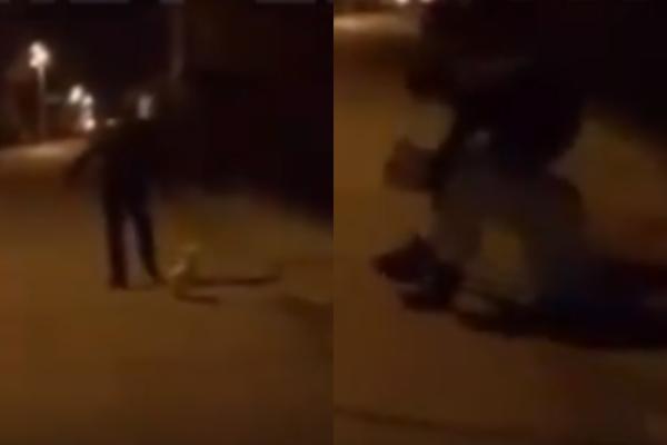 LJUDI U SRBIJI UMIRU, A OVA ČETVORICA SE SPRDAJU! Policijo, HAPSI, pa u zatvor, HITNO! (VIDEO)