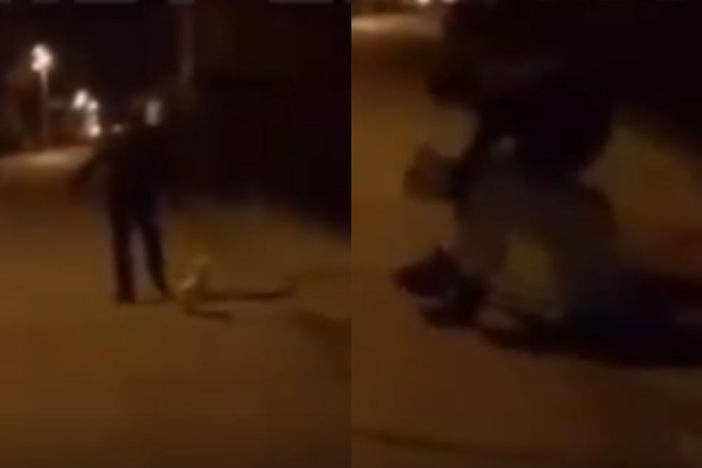 LJUDI U SRBIJI UMIRU, A OVA ČETVORICA SE SPRDAJU! Policijo, HAPSI, pa u zatvor, HITNO! (VIDEO)