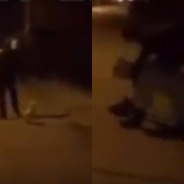 LJUDI U SRBIJI UMIRU, A OVA ČETVORICA SE SPRDAJU! Policijo, HAPSI, pa u zatvor, HITNO! (VIDEO)
