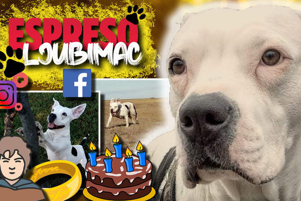 SENKA DANAS SLAVI ROĐENDAN: Popularna je na Instagramu i Fejsu, a ime je dobila po liku iz Gospodara prstenova!