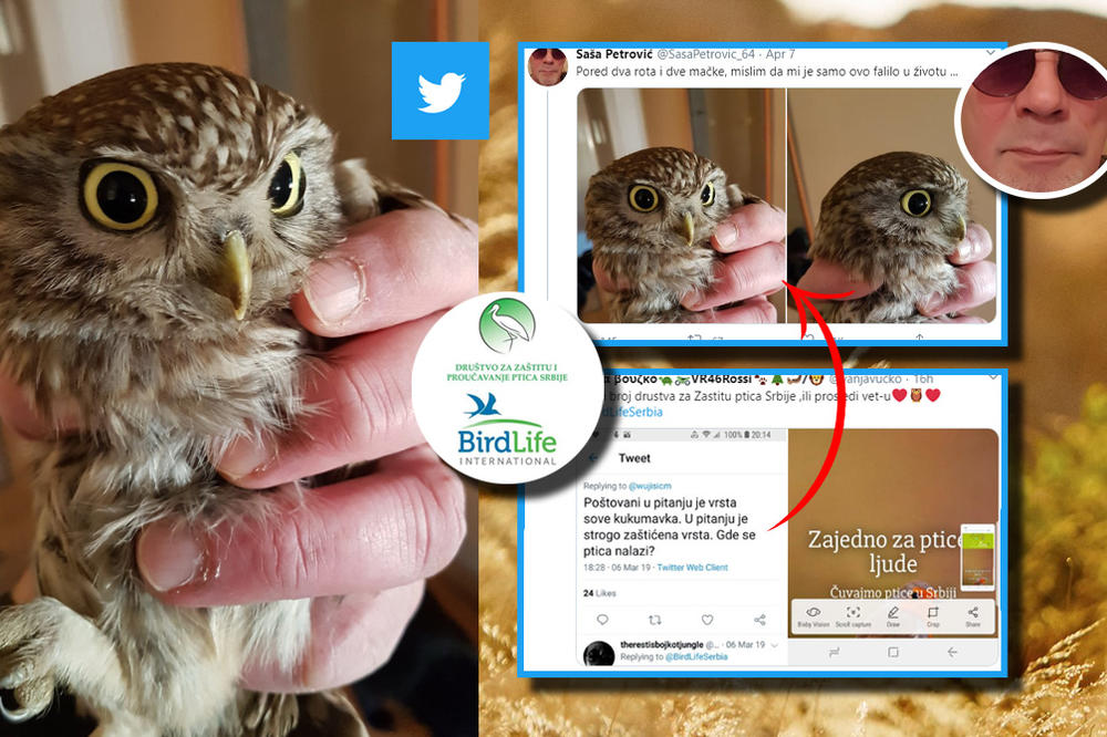 ZA OVOG BEOGRAĐANINA SVANULO JE PRELEPO JUTRO, NIJE SLUTIO ŠTA ĆE NAĆI NA TERASI! Ipak, ovakav kraj nije očekivao