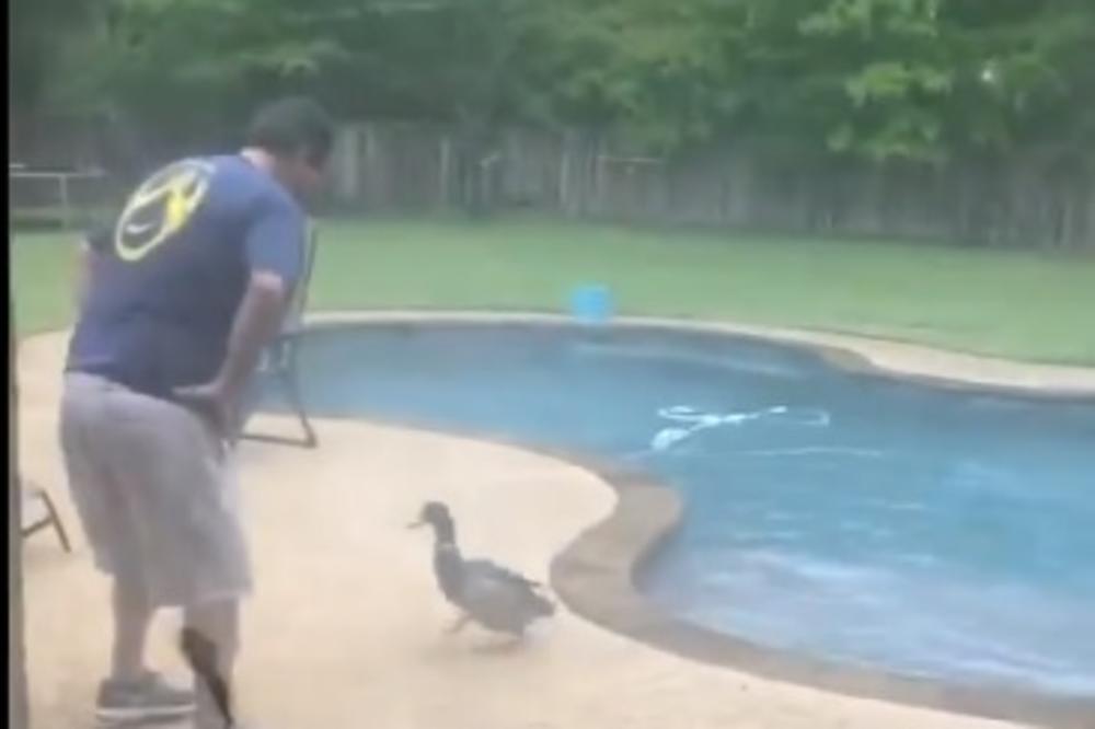 BACA PATKU, A ONA MU SE VRAĆA PO JOŠ: Ovo je najurnebesniji snimak iz karantina (VIDEO)