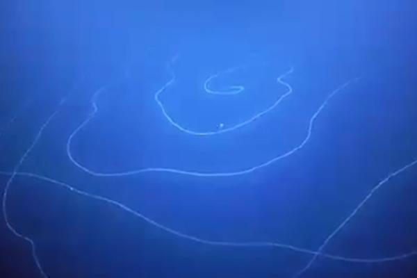 LJUDI KAŽU DA SU VIDELI VANZEMALJCE U OKEANU: Isplivala istina o tajnovitom stvorenju koje živi među nama (VIDEO)