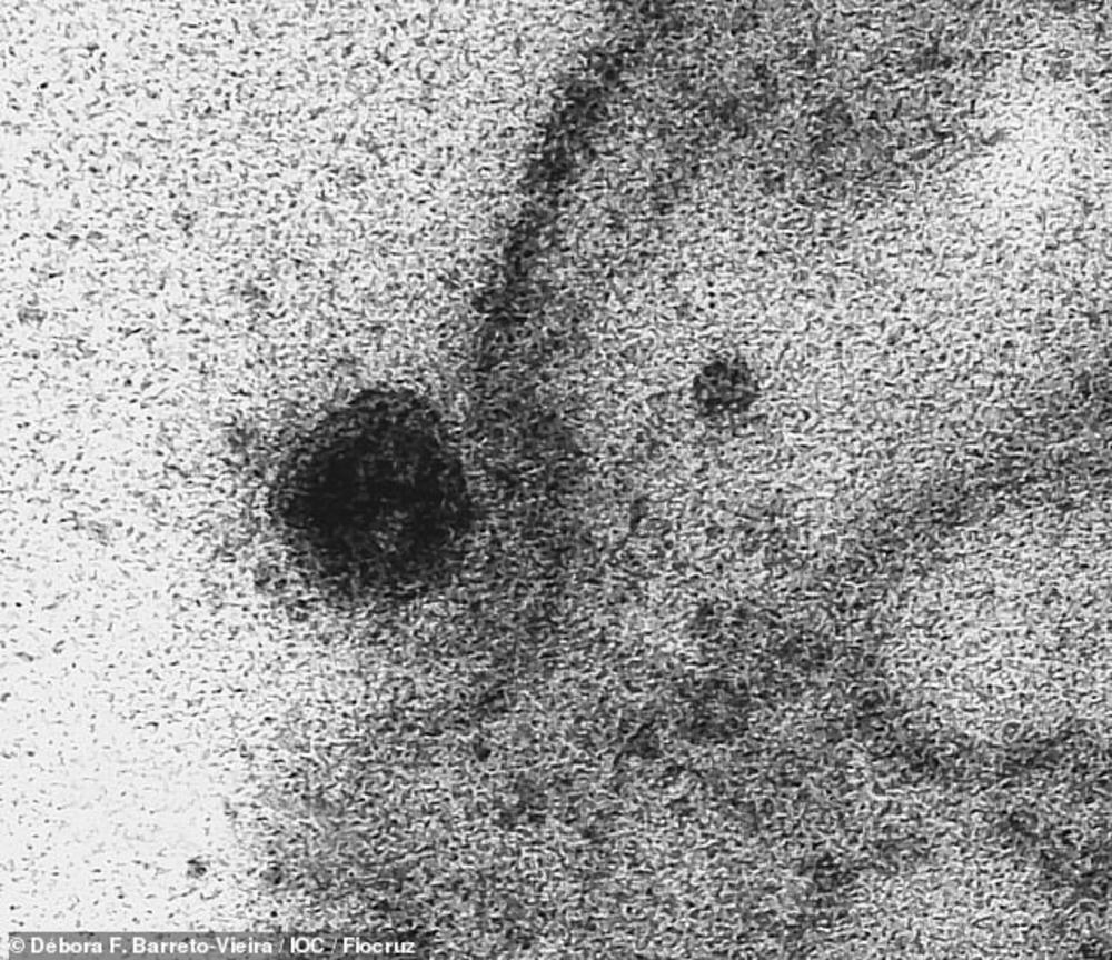 Postoji mogućnost da koronavirus nestane tokom leta