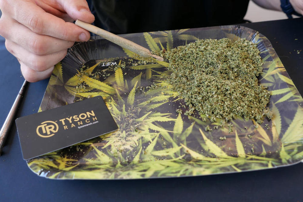 MRTAV 'LADAN... Nišlija u stanu gajio marihuanu