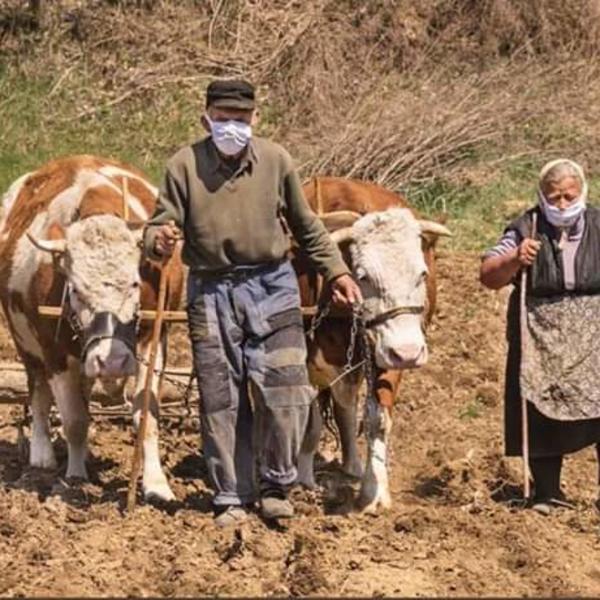 FOTOGRAFIJA IZ SRBIJE PROGLAŠENA ZA SLIKU DANA U SVETU: Da li je ovo najpotresnije lice pandemije korone? (FOTO)