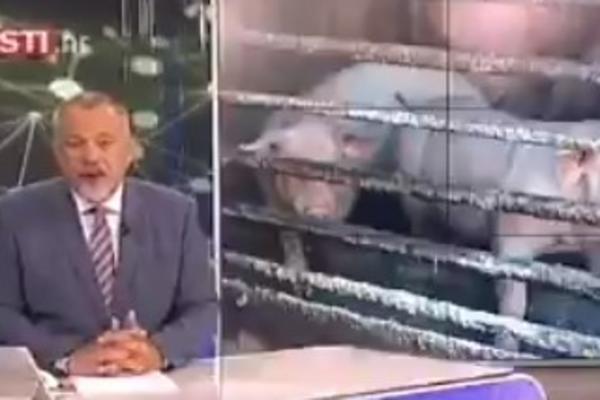 NAJNEVEROVATNIJA VEST IZ HRVATSKE KOJU STE IKAD ČULI: A komentar voditelja je još luđi! (VIDEO)