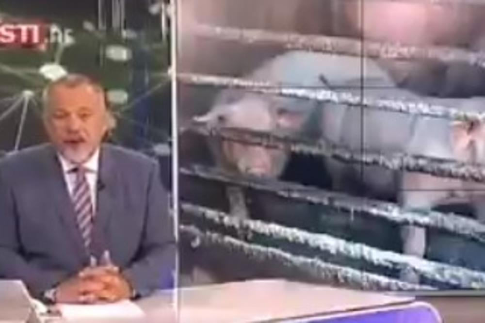 NAJNEVEROVATNIJA VEST IZ HRVATSKE KOJU STE IKAD ČULI: A komentar voditelja je još luđi! (VIDEO)