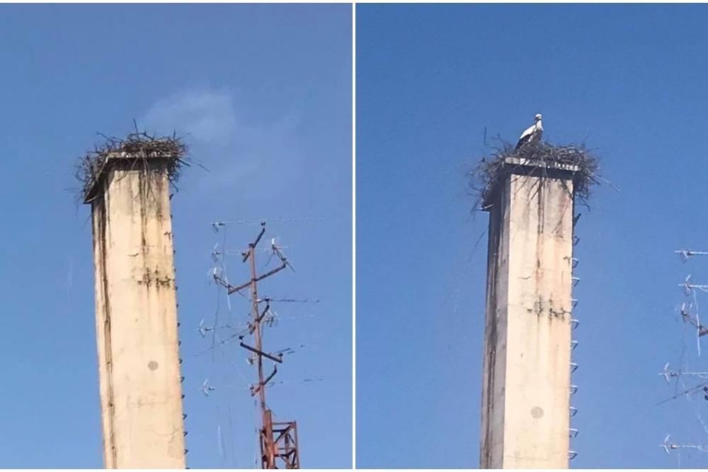 GNUSAN ČIN NA UBU! Radnik pošte ložio kotlarnicu kako bi zapalio gnezdo belih roda! Cela priča je sada dobila obrt!