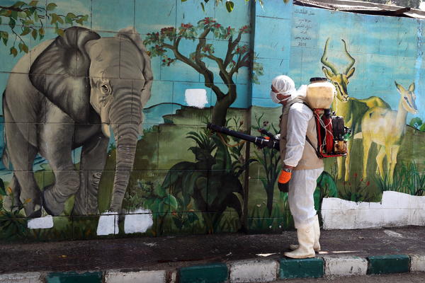MORAĆEMO DA UBIJEMO NEKE ŽIVOTINJE DA BISMO NAHRANILI DRUGE: Jezivo saopštenje zoološkog vrta!