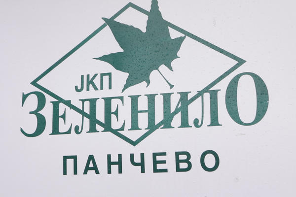 PIJAČNA PRODAJA U PANČEVU ODVIJA SE NA INTERNETU: „Zelenilo“ besplatno posreduje između kupaca i prodavaca (VIDEO)