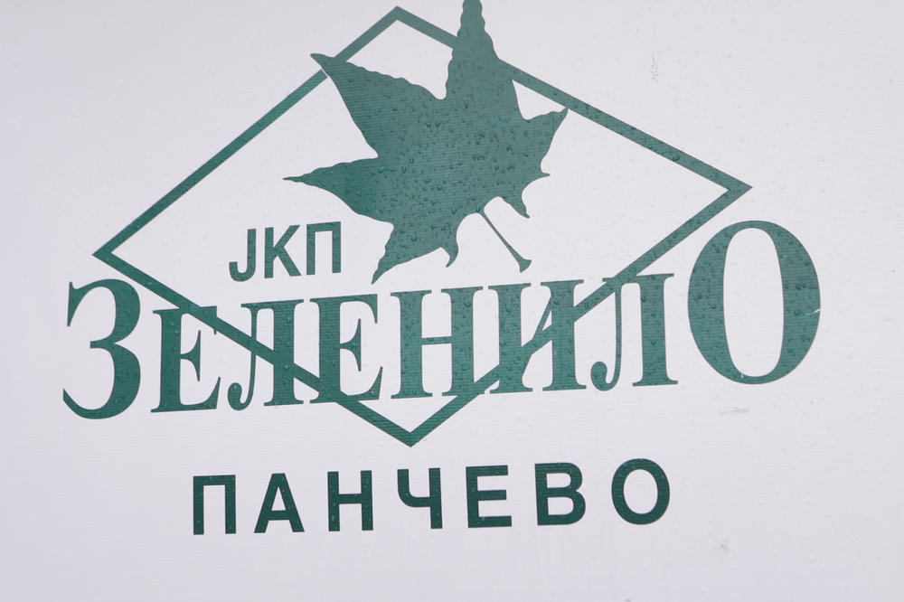 PIJAČNA PRODAJA U PANČEVU ODVIJA SE NA INTERNETU: „Zelenilo“ besplatno posreduje između kupaca i prodavaca (VIDEO)