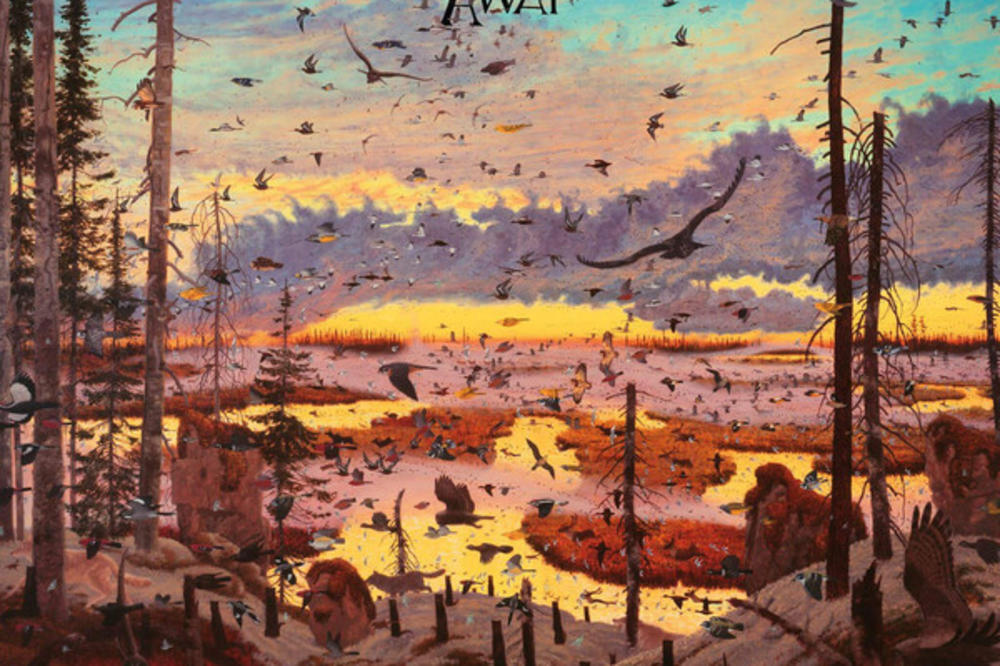 OKKERVIL RIVER: AWAY