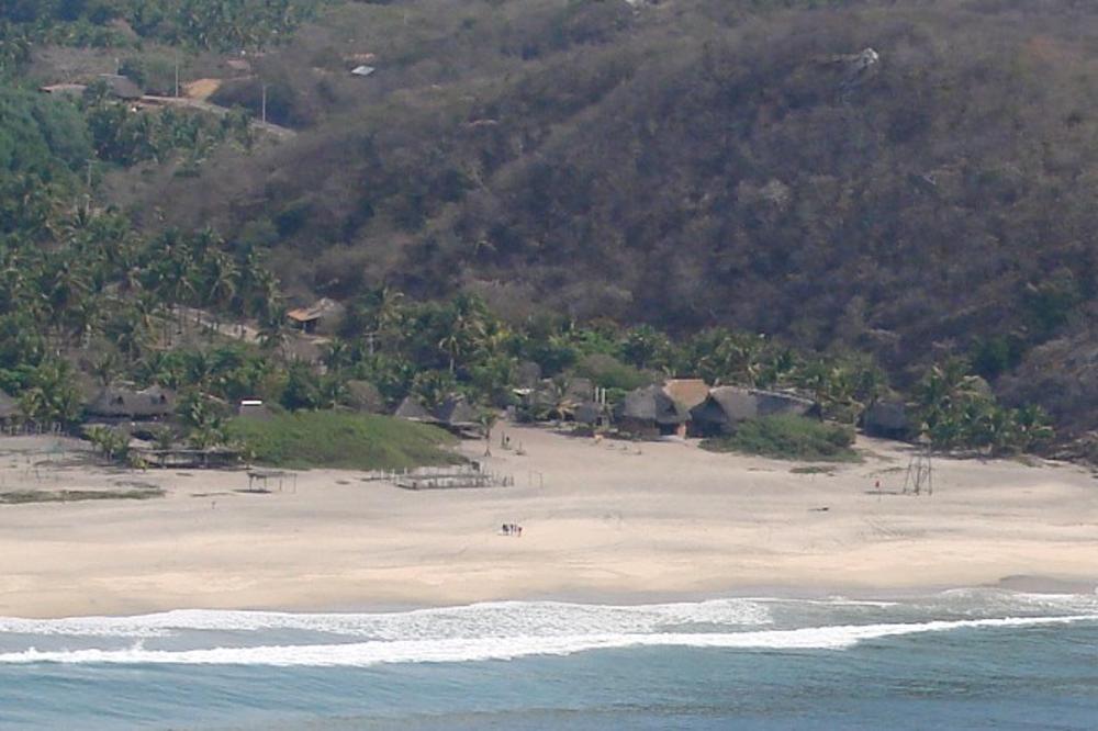 POŠTO NEMA TURISTA, PLAŽU SU OKUPIRALA OVA STRAŠNA STVORENJA: Sad oni uživaju u raju na zemlji! (FOTO)