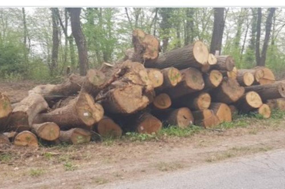 U NIŠU SEZONA NABAVKE OGREVNOG DRVETA U PUNOM JEKU! Za sada cene miruju