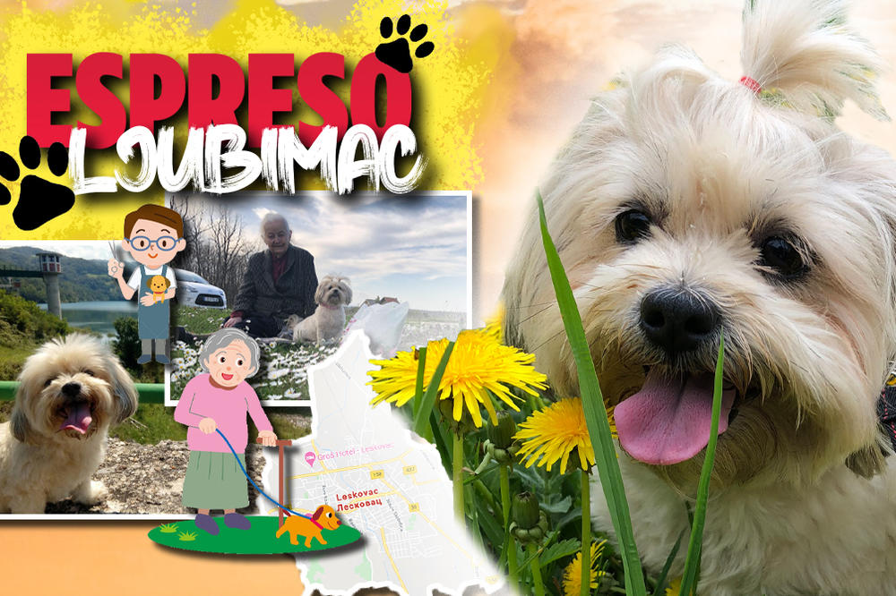 BAKA DRAGINJA KAŽE DA SAM NJEN PAS ČUVAR: Luna uživa u putovanjima i istraživanju prirode sa svojom porodicom