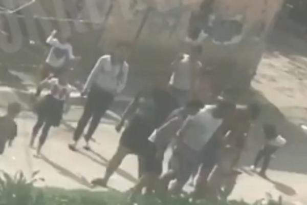 JE L MOGUĆE DA OVO RADE DOK TRAJE POLICIJSKI ČAS? U Beogradu izneli životinju okruženi decom, a onda su uzeli NOŽ!