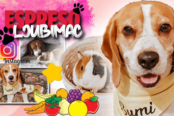 PRIDRUŽITE NAM SE U SVAKODNEVNIM AVANTURAMA: Bumi i Boća su najbolje drugarice koje na Instagramu dele svoje savete