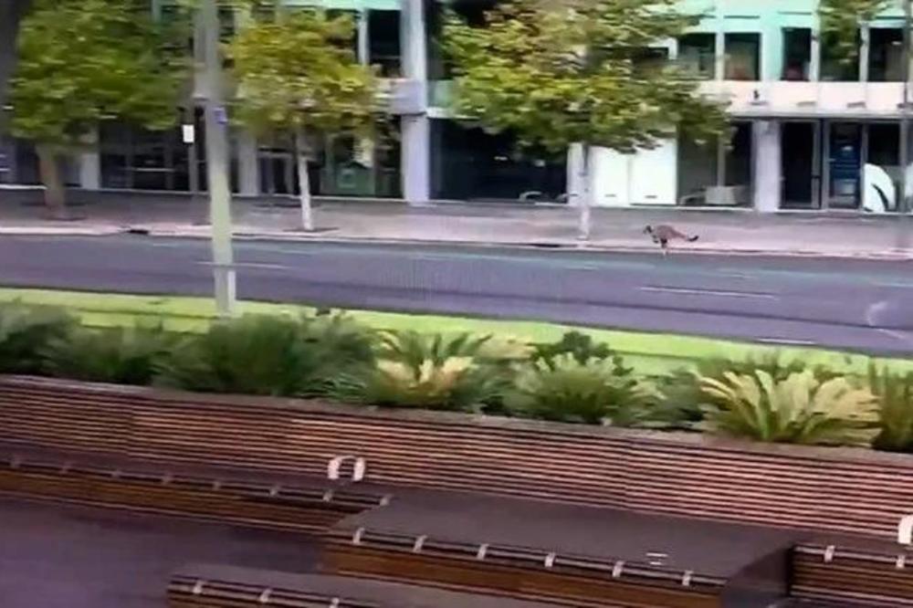 SCENA KAO IZ APOKALIPTIČNOG FILMA! Ulice višemilionskog grada skroz prazne, a po njima samo on skače! (VIDEO)